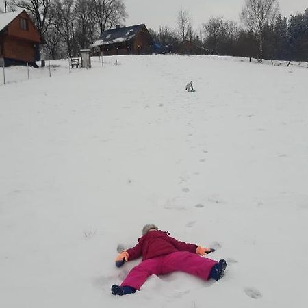 Przytulne Na Poddaszu イェレニャ・グーラ エクステリア 写真